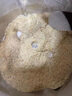 小熊（Bear）研磨機 家用磨粉機 打粉機 中藥粉碎機 料理機 干粉機 不銹鋼打粉研磨機FSJ-A05N6 曬單實拍圖