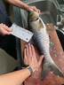 釣魚(yú)王 綁好子線(xiàn)雙鉤防纏繞套裝金袖新關(guān)東鯽魚(yú)鉤 伊勢尼有刺9#子線(xiàn)3# 曬單實(shí)拍圖