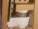 戴森（DYSON）【國家補貼15%】V11 Fluffy 智能大吸力吸塵器 185AW LCD智能數顯 家用 除螨 車(chē)載可用 鎳色 曬單實(shí)拍圖