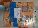 佳沛（zespri）新西蘭  陽(yáng)光金果25-27粒原箱單果122-146g  中秋水果禮盒 獼猴桃 曬單實(shí)拍圖