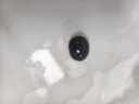 碗蓮種七彩五顏六色水培花卉水養(yǎng)四季蓮花荷花種蓮藕綠植水培蓮子 開口/混色 12粒+生根粉 曬單實拍圖