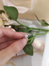 Grace Girl鉑金培育鉆石戒指女求婚結婚鉆戒紀念日情人節生日禮物送女友老婆 鉑金50分培育鉆石戒指 曬單實(shí)拍圖