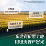 英氏嬰幼兒有機胚芽米營(yíng)養米糊煮粥米寶寶嬰幼兒輔食面 有機胚芽米245g 曬單實(shí)拍圖