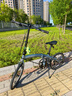 大行（DAHON）P10折疊自行車(chē)20英寸10速鋁合金成人通勤V剎 PAA003 消光灰藍 曬單實(shí)拍圖