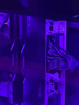 光威（Gloway）32GB(16GBx2) DDR5 6000 臺式機內存條 龍武-弈 馬甲條 國產(chǎn)顆粒 C36 星空黑  曬單實(shí)拍圖