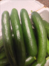 煙臺水果黃瓜5斤現摘新鮮直供蔬菜水果小黃瓜清爽脆口整箱批發(fā) 水果黃瓜 5斤 曬單實(shí)拍圖