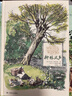 柳林風(fēng)聲（彩色插圖版） 曬單實(shí)拍圖