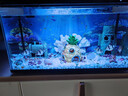 小米適配一代魚(yú)缸背景板貼紙裝飾畫(huà)亞克力高清卡通3D安裝簡(jiǎn)單 光照海底生物*1 曬單實(shí)拍圖