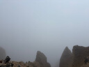 NVC雷士電工 開關(guān)插座 免噴涂啞光大板 二開雙控墻壁暗裝電源開關(guān) N25柏林灰 曬單實(shí)拍圖