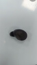 傳古藍(lán)牙耳機(jī)無線運(yùn)動跑步入耳式通話降噪防水隱形迷你游戲低延遲大電量超長續(xù)航高音質(zhì)安卓通用 曬單實拍圖