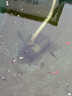 全福鯉戶(hù)外魚(yú)池過(guò)濾器水循環(huán)系統養錦鯉魚(yú)池凈水過(guò)濾設備斜坡排污 QXP-3600套餐適用0-3噸水包含水泵水管 曬單實(shí)拍圖
