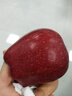 正宗甘肅天水花牛蘋(píng)果9斤現摘新鮮水果粉面香甜紅蛇果紅富士禮盒Y 5斤【脆粉兩吃/天水直采】 小果【70-75mm】 曬單實(shí)拍圖