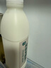 光明 原味益生菌發(fā)酵乳1.1kg 曬單實(shí)拍圖