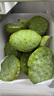 藕荷泥（OUHENI）洪湖嫩蓮蓬新鮮蓮子米生吃嫩蓮蓬米湖北特產(chǎn)孕婦甜水果嫩蓮蓬即食 洪湖嫩蓮蓬3斤（順豐空運(yùn)） 曬單實(shí)拍圖
