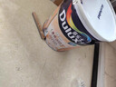 多樂(lè )士（Dulux）倍護水性調和漆防霉木器漆防銹金屬漆家具暖氣彩鋼瓦翻新油漆涂料 A7309色漆半啞光0.8KG  曬單實(shí)拍圖