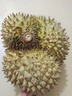 施華蔻（Schwarzkopf）怡然染發(fā)霜3.0/9羊絨脂深棕 染發(fā)劑植物染發(fā)膏黑茶色男女蓋白 曬單實(shí)拍圖
