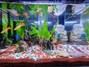 森森（SUNSUN）耀藍魚缸壁掛式過濾器YBF-500外置過濾桶【魚便分離+過濾升級】6W 曬單實拍圖