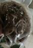 百里炙 國產(chǎn)谷飼黑千層毛肚1斤 四川重慶火鍋串串麻辣燙 牛肚百葉 生鮮 曬單實(shí)拍圖