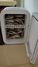 酷寶（Coolbox）迷你小冰箱租房用小型冰箱宿舍冷藏冷凍藥品母乳雪糕一人車(chē)載冰柜 車(chē)家兩用 強冷數顯冷藏款 20L 曬單實(shí)拍圖