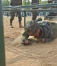 巴邁爾戰術(shù)護膝護肘爬行新兵訓練套裝軍訓運動(dòng)裝備護具加厚透氣防摔防撞 曬單實(shí)拍圖
