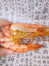 海仙津九節(jié)蝦干即食大蝦干烤蝦干對(duì)蝦干特大斑節(jié)蝦干大烤蝦海產(chǎn)干貨 【大號(hào)款】九節(jié)蝦干250g 35-45只 曬單實(shí)拍圖