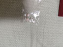京潤珍珠耳飾女淺愿925銀淡水珍珠耳釘女百搭經(jīng)典簡約實用生日禮物 曬單實拍圖