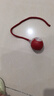HELLOJOY狗狗玩具耐咬球自動逗狗神器自嗨解悶寵物電動小狗智能彈力遛狗球 曬單實(shí)拍圖