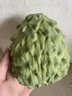 采緹（CAITI）現貨大目鳳梨釋迦果5斤 新鮮番荔枝佛頭果水果孕婦整箱 精選凈重一斤中果（2-3個(gè)） 曬單實(shí)拍圖