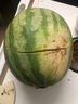會(huì )師農人甘肅會(huì )師農人低糖大變小旱沙地籽瓜打瓜內蒙靖遠石頭瓜傳粉瓜6斤 8斤單果 3.5kg+ 曬單實(shí)拍圖