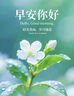 蘭酷帕兒童種子植物洞洞樂(lè )盲盒小盆栽玩具學(xué)生伴手禮物幼兒園小禮品教師 曬單實(shí)拍圖