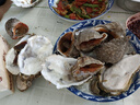 鮮漁翁【活鮮】青島大海螺鮮活發(fā)貨 3斤特大號海鮮生鮮貝類(lèi) 年貨節 大海螺9-12只3斤 曬單實(shí)拍圖