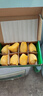 佳沛（zespri）新西蘭陽光金果 8個(gè)裝 特大果單果122-146g 中秋水果禮盒 獼猴桃 曬單實(shí)拍圖