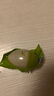 淀上村白洋淀雄安特產(chǎn)雙黃咸鴨蛋75克*10枚家庭裝開袋即食流油出砂 曬單實拍圖