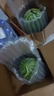 山東正宗頭茬2k手剝皮小西瓜薄皮新鮮冰激凌小糖丸超甜手撕小吊瓜 凈重2-3斤 手撕小西瓜 曬單實拍圖