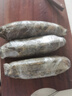 洪湖農(nóng)家順豐包郵 蓮藕新鮮 洪湖粉藕 蔬菜 生鮮5斤 火鍋食材 洪湖蓮藕 曬單實拍圖
