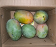 京覓四川凱特芒果新鮮水果凈重8斤單果410g+源頭直發(fā)包郵 曬單實(shí)拍圖