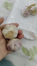 紫白皮蒜即食水果大蒜今年新鮮干蒜生鮮調(diào)料蒜瓣 5頭大蒜 0.36斤 曬單實(shí)拍圖
