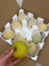 京覓 碭山青皮蜜梨 單果250g起 凈重4.5斤起 生鮮水果 源頭直發(fā) 曬單實(shí)拍圖