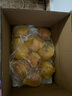 佳農 煙臺紅富士蘋(píng)果 凈重10斤 一級果 單果重160g+  中秋水果禮盒 曬單實(shí)拍圖