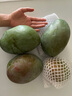 京鮮生 攀枝花凱特芒 凈重8.5斤 帶箱9斤 單果600g+ 生鮮水果 源頭直發(fā) 曬單實(shí)拍圖