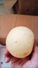 河北皇冠梨泊頭皇冠梨產(chǎn)地直發(fā)精品大果脆甜多汁新航線1 2斤箱裝+精品大果（含箱重） 曬單實(shí)拍圖