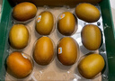 佳沛（zespri）新西蘭  陽光金奇異果10粒禮盒巨大果單果約144-175g 水果 獼猴桃 曬單實拍圖