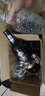 CANIS FAMILIARIS布多格原瓶進(jìn)口紅酒 寶塔干紅葡萄酒 750ml*6瓶婚宴整箱裝 曬單實(shí)拍圖
