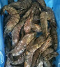 1號會(huì )員店 泰國活凍黑虎蝦 斑節對蝦 海鮮水產(chǎn) 凈重2斤（31-40只） 曬單實(shí)拍圖