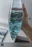 孔雀魚天使魚 純種觀賞魚淡水好養(yǎng)熱帶小型觀賞魚 孔雀魚12條送備損3條 【新人價(jià)】 曬單實(shí)拍圖