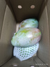京鮮生 攀枝花凱特芒果 凈重4.5斤 帶箱5斤 單果400g+ 生鮮水果源頭直發(fā) 曬單實(shí)拍圖
