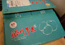 洛川蘋(píng)果陜西延安紅富士時(shí)令蘋(píng)果水果禮盒禮品蘋(píng)果生鮮新鮮脆甜整箱好吃 凈重4.5斤80-85mm鉑金果 彩箱裝 曬單實(shí)拍圖