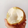 京配嘉果山東煙臺(tái)中華丑梨農(nóng)家自種新鮮梨子水果禮盒軟糯多汁新奇特梨子 1斤精選裝 曬單實(shí)拍圖