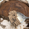 鮮京采純脂巧克力千層蛋糕400g/6寸 動(dòng)物奶油冰淇淋糕點(diǎn)零食教師節禮物 曬單實(shí)拍圖