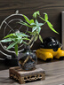 景郁春 JIRYUCUR發(fā)財樹(shù)小盆栽水培植物辦公室內桌面綠植發(fā)財樹(shù)+煙灰圓瓶源頭直發(fā) 曬單實(shí)拍圖